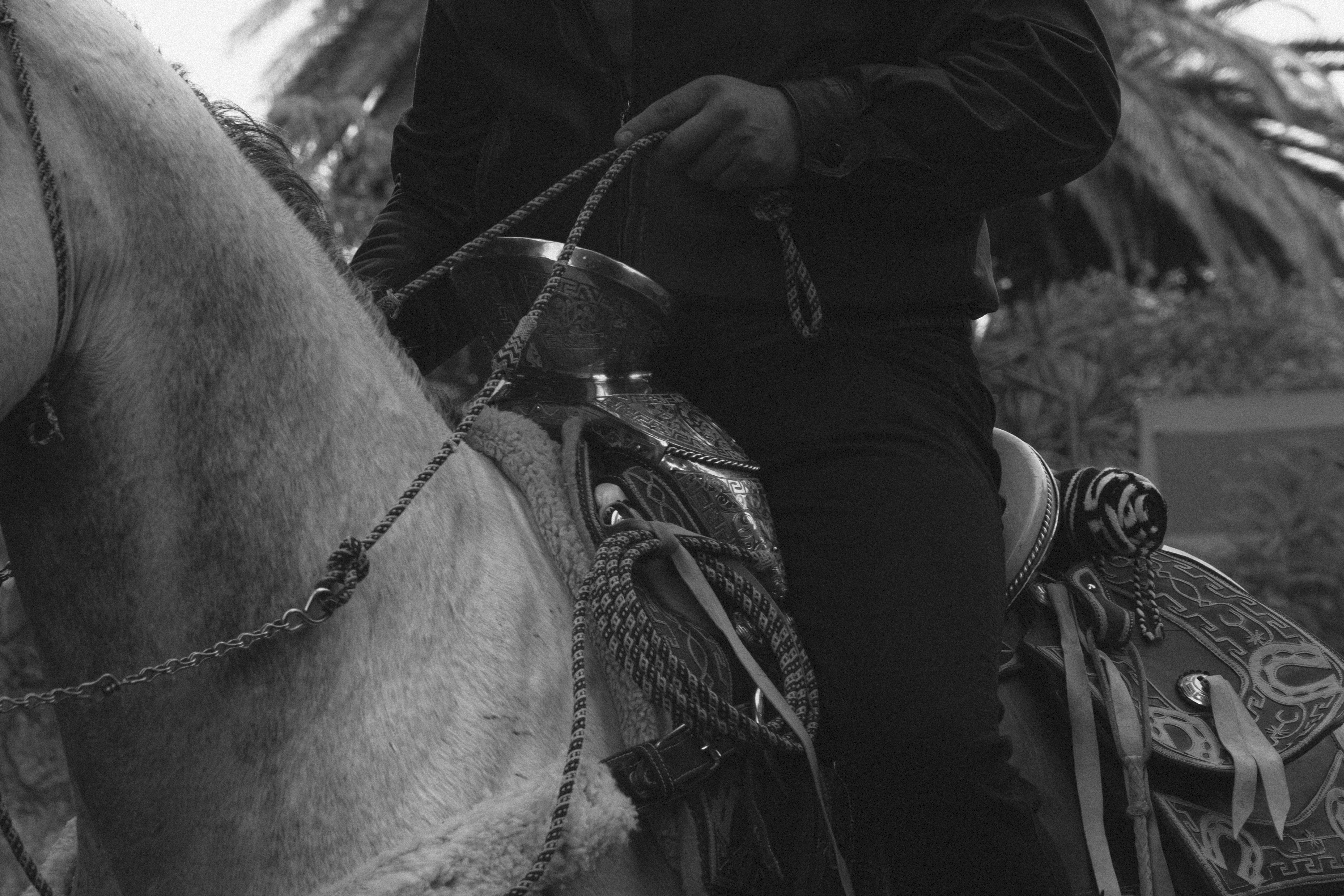 Campo